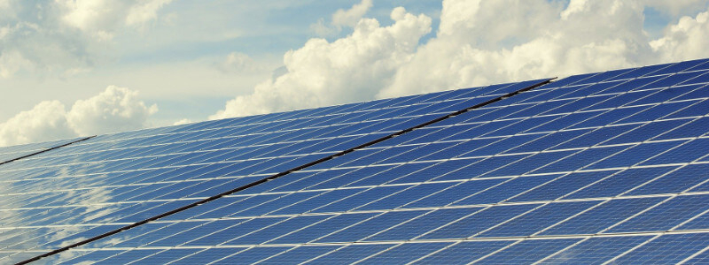 Hybrid Software Group намалява въглеродния си отпечатък с помощта на Ecologi 